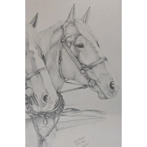 Sue Rupp Horses Pencil Drawing ‘The Girls' Signed Numbered 295/950 - Picture 7 of 10